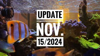 CADE 1500 SP Update for November 15 2024 [upl. by Gunther]