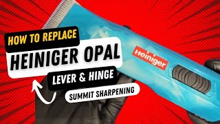 How to Replace Heiniger Opal Lever amp Hinge [upl. by Osy457]