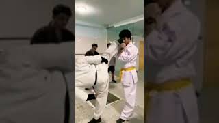 ura mavashi geriehsanashtari karate martialarts shidokan kyokushinkarate kick taekwondo [upl. by Eanil]