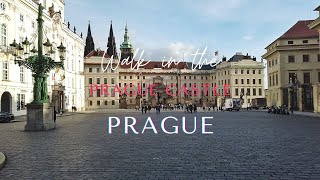 Prague Castle Walking Tour [upl. by Jandel552]