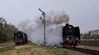 Parowóz Pt4765 z pociągiem KW77209 do Poznania Wolsztyn 09112024 [upl. by Cobb]