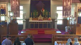 SSPXNZLIVE  Palm Sunday  24th March  Sung Mass [upl. by Larsen783]