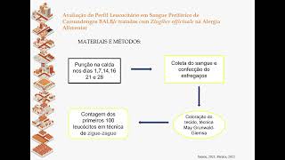 Perfil Leucocitário em Sangue Periférico deCamundongos BALBc tratados com Zingiber officinale [upl. by Airotel816]