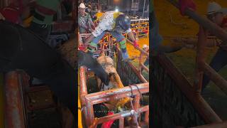 Crazy Bull Riding [upl. by Aisenet]