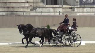 Marcell DANI HUN  CAI H2 Szilvásvárad Hungary dressage 13 July 2023 [upl. by Howland]