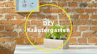 Kräutergarten anlegen Baue eigene Kräuter an  DIY  Lidl [upl. by Foah]