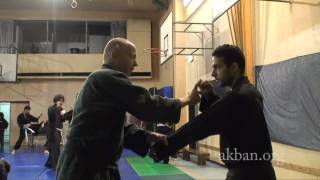 Ninjutsu blocks against boxing jab [upl. by Danita]