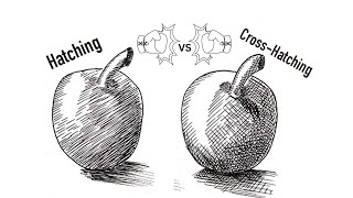 Hatching vs Cross hatching [upl. by Ajroj]