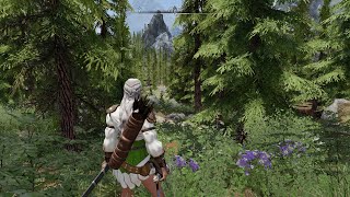 skyrim REPLAY Mod skyrimmods No commentary [upl. by Asseret]