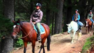 Hare Hill Horse Treks [upl. by Farlie]