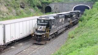 NS Action at Gallitzin Plus Triple Crown Roadrailer with Bad Wheelset August 21 2010 [upl. by Leunamesoj]