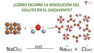 QUÍMICA BÁSICA VIDEO 22 DISOLUCIONES 1 Electrolitos equilibrio químico y reglas de solubilidad [upl. by Ydarb]