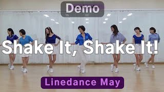 Shake It Shake It Line Dance High Beginner  Michael Lynn  Demo [upl. by Eurydice]