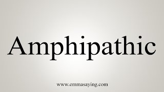 How To Say Amphipathic [upl. by Nilesoy473]