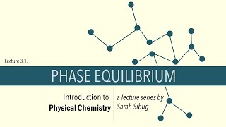 31 Phase Equilibrium [upl. by Auhsuj566]