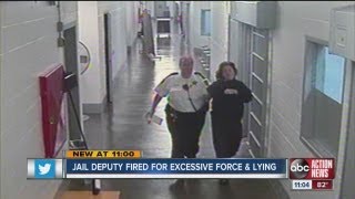 Pinellas County jail deputy fired for slapping inmate and lying about it [upl. by Aina557]