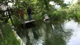 La piscine naturelle  Truffaut [upl. by Damali347]