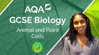 AQA GCSE Biology Animal and Plant Cells [upl. by Ttik]