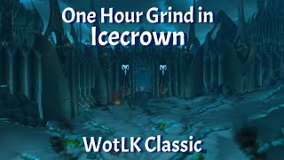 One Hour Grind in IcecrownSaronite and Titanium Ore FarmingWotLK Classic [upl. by Sapowith717]