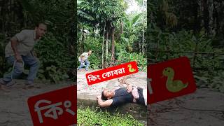 King cobra snake prank short video vairalshort funny comedyprank alwaysfun2 comedy short [upl. by Gasperoni]