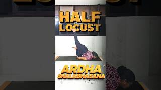 Ardha Shalabhasana  The Half Locust Pose yogaforstrength halflocustpose yogaforbeginners yoga [upl. by Appledorf]