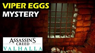 Mystery in Ledecestre Viper Eggs location  Ledecestrescire Mysteries  Assassins Creed Valhalla [upl. by Cammie]