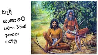 වැදි බස Wadi Basawa ආදිවාසි බස් General Knowledge Sinhala Wadi wahara [upl. by Virendra831]