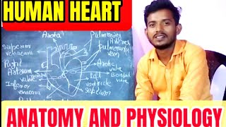 इतना आसान 😱😱Human heart  human heart Anatomy physiology  mechanism of blood circulation medical [upl. by Aube]