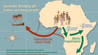 Ancient West Africa Bantu Migrations [upl. by Goebel65]