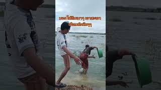 เก็บกดมาแน่โดนเต็มๆ My waist almost broke funny comedy hahaha ตลก shorts fishing [upl. by Earlie744]