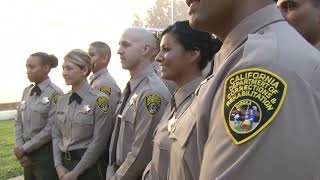 CDCR Recruitment [upl. by Lissak]