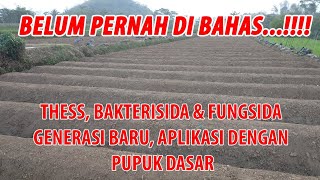 THESS BAKTERISIDA amp FUNGISIDA GENERASI BARU APLIKASI DENGAN PUPUK DASAR [upl. by Pippy]