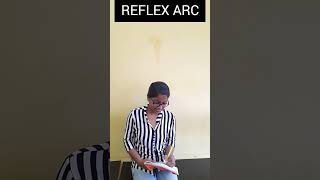 Role play Reflex arc👱‍♀️👱‍♂️🧑‍🦰🙆 [upl. by Kera]