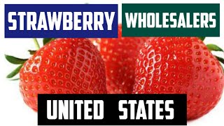 Major Strawberry Wholesalers in the United States of America [upl. by Bertelli]