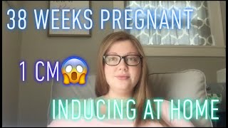 38 WEEKS PREGNANT UPDATE  INDUCING AT HOME  1 CM DILATED [upl. by Tal]