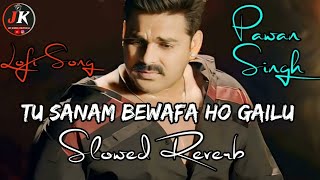 Tu Sanam Bewafa Ho Gailu Bhojpuri Sad song  pawansingh  LofiSong  Slowsong  Sadsong [upl. by Lexa]