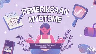 Pemeriksaan Myotome — Sembah Ayu S [upl. by Weinstein]