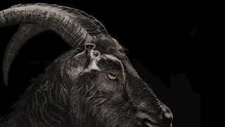 ASMR But Its Just Black Phillip Asking If Wouldst Thou Like To Live Deliciously for 666 [upl. by Gayleen808]