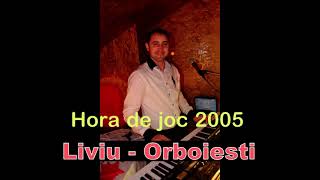 HORA sarba geamparaLiviu de la Orboiesti 2010 live [upl. by Oballa]