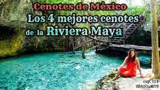 Cenotes de México 💦Los 4 mejores cenotes de la Riviera Maya 🐲 [upl. by Nueovas]