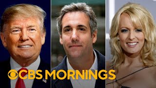 Michael Cohen faces intense crossexamination in Donald Trumps criminal trial [upl. by Gradeigh439]