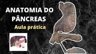 Anatomia do Pâncreas [upl. by Heffron]