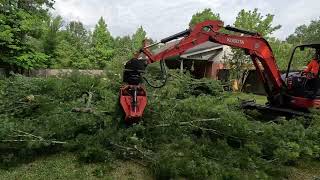 3 trees removed and cleaned up before lunch [upl. by Theressa755]