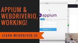 Appium with WebdriverIO WORKING [upl. by Niknar]