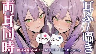 【ASMRKU100】分身した２人が両耳同時に耳ふーで寝かしつけ♡Ear blowing in both ears【沙汰ナキア睡眠導入】 [upl. by Aniv445]