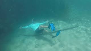 Diving and snorkeling in Fernando de Noronha  Mergulho em Fernando de Noronha [upl. by Rubio]