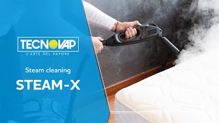 SteamX fight bedbugs with Tecnovap [upl. by Sussi647]