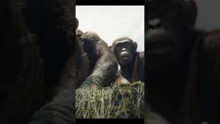 Monkey movie monkey dubbedmovies moviescenes movieshorts [upl. by Askwith]