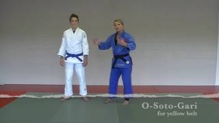 Judo Techniques for Belt Promotion  Yellow Belt [upl. by Maurizio114]