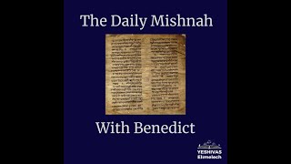 The Daily Mishnah  Yevamot 512 [upl. by Gnil]